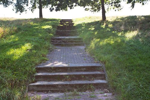 Ontdek de natuur in een bosrijk gebied in Emsland, Nedersaksen, Duitsland