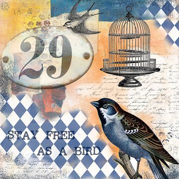 Free as a bird by christine b-b müller