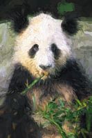 Panda Beer