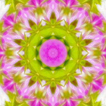 Mandala in sanften Farben