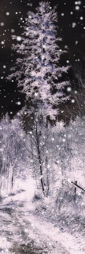 Boswinter