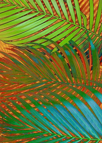 TROPICAL LEAVES POP-ART no4