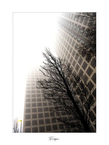 Rotterdam offices in the fog