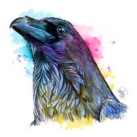Raven