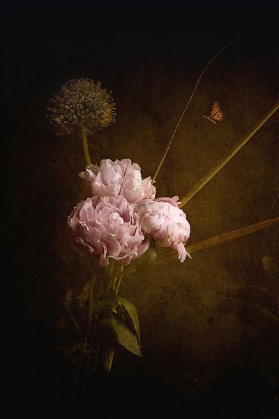 Pioenroos en vlinder van Leonie van den Udenhout