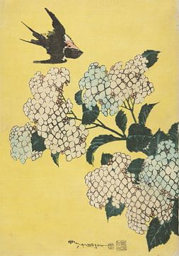 Hortensia en zwaluw, Katsushika Hokusai