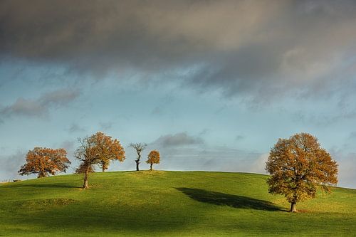 A stormy autumn day