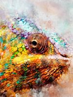 chameleon