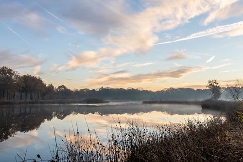Sunrise in Westerwolde