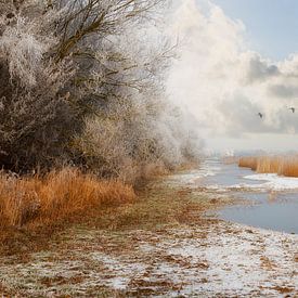 Snow and fog by Truus Nijland