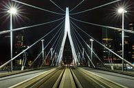 Erasmus-Brücke von Menno Schaefer Miniaturansicht