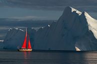 Ein Segelboot im Licht der tiefstehenden Sonne in Grönland von Anges van der Logt Miniaturansicht