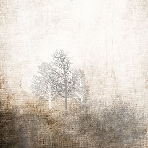 3 BOMEN IN DE WINTER OMHELZEN