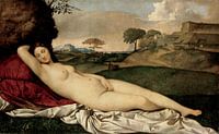 Schlafende Venus - Giorgione von 1000 Schilderijen Miniaturansicht