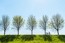Radfahrer auf dem Deich