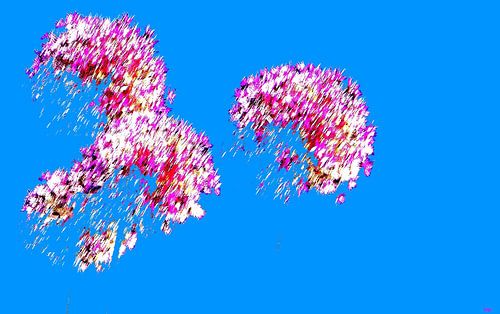 Vlucht van de bloemen