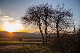 Sonnenuntergang in Richtung Kreuzberg in der Rhön von Martin Flechsig