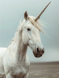 Einhorn von haroulita