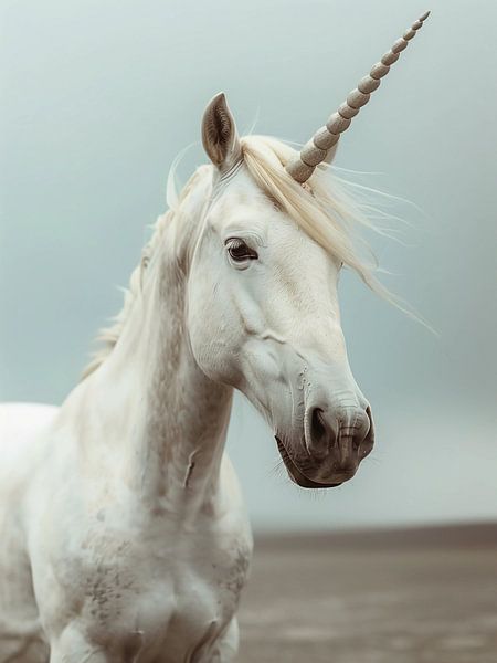 Unicorn by haroulita