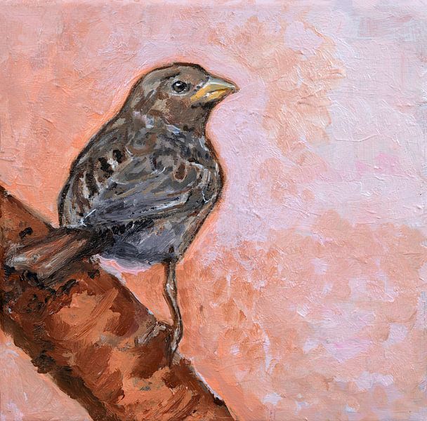 Female sparrow by Tanja Koelemij