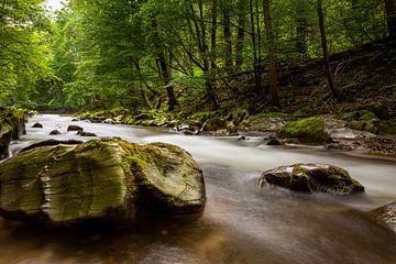 Het Schwarzatal in Thüringen van Roland Brack