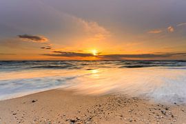Bewegung vs. Strandleben