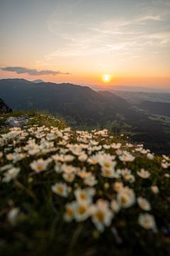 blumiger Sonnenuntergang am Sorgschrofen von Leo Schindzielorz