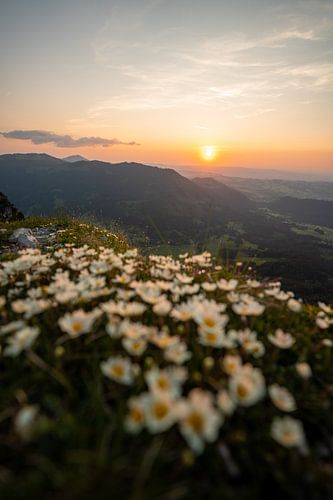 Bloemrijke zonsondergang bij Sorgschrofen