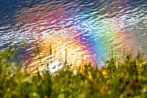 Regenbogen in einer Wasserlacke