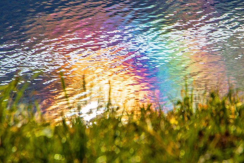 An oil film in a water-based paint by Christa Kramer