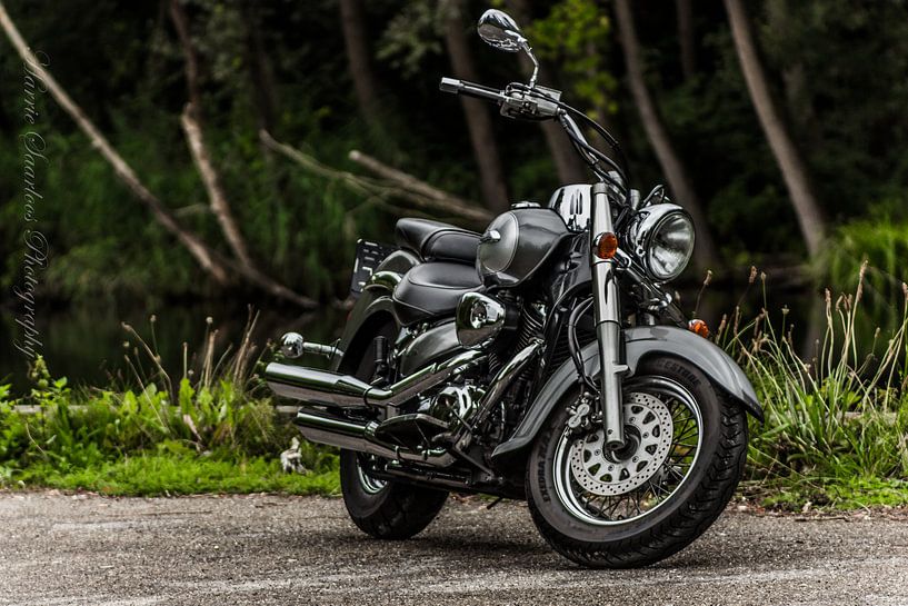 Suzuki Volusia VL800 by Westland Op Wielen