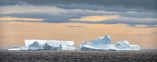 IJsbergen rondom South Georgia