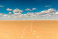 Het pad naar de horizon