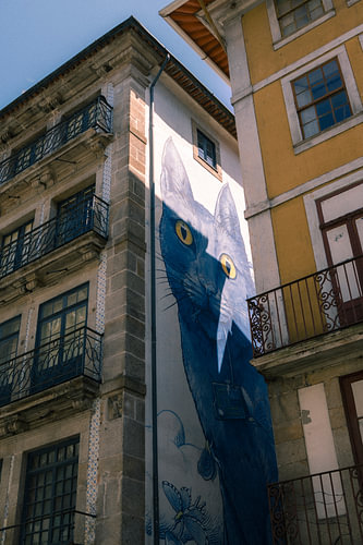 Art urbain à Porto