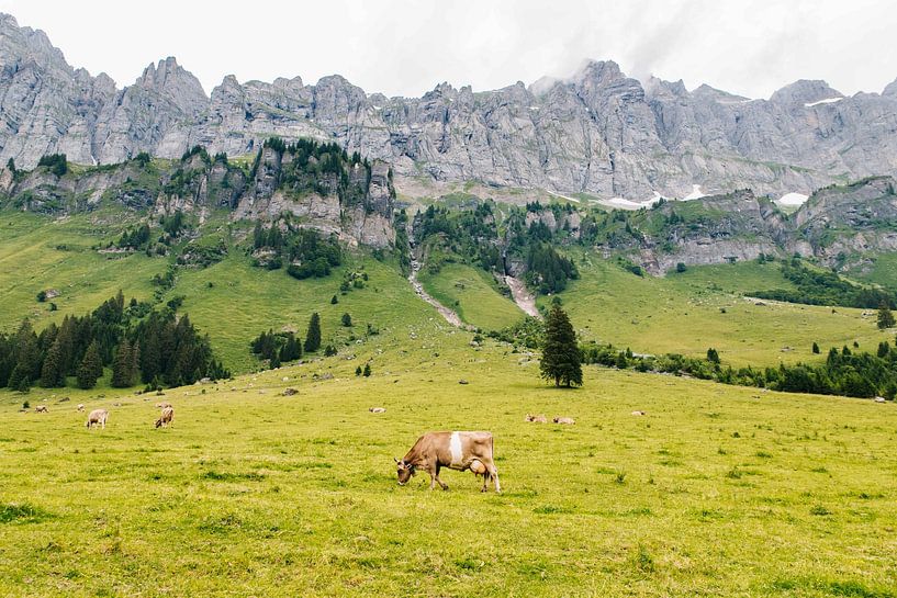 Schweizer Alpen 02 von Quinten Tolboom