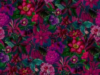 Exotic Garden Fuchsia Pink