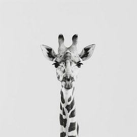 Giraffe in black and white - Minimalist animal art by Poster Art Shop