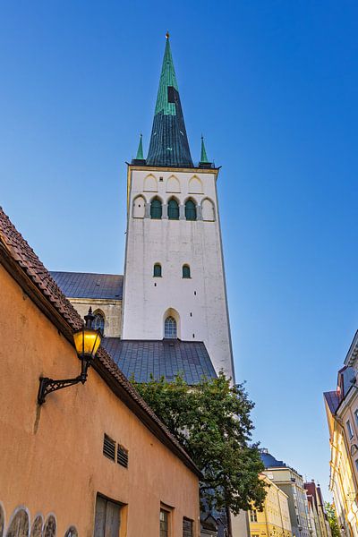 Blick auf die Olaikirche in der Altstadt von Tallinn, Estland von Rico Ködder