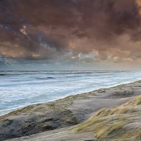 Strand Noordijk van Aland De Wit