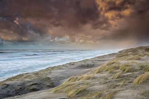 Plage Noordijk