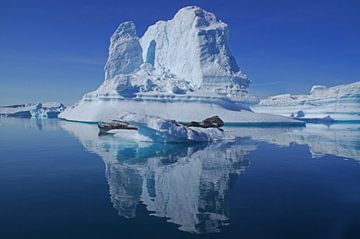 Iceberg in the east of Greenland by Reinhard  Pantke