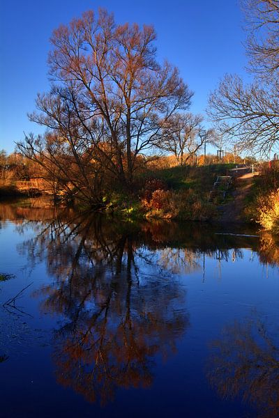 Allis shad 2 van Edgar Schermaul