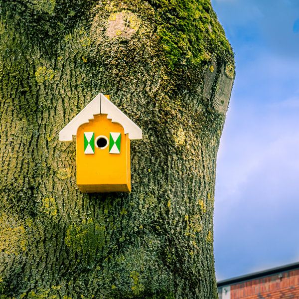 Birdhouse by Jeroen