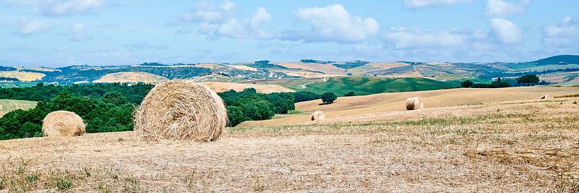 Straw bales in the Tuscan countryside by eric van der eijk