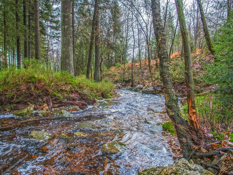 Flowing River Comes Quietly Towards You by Nature Life Ambience
