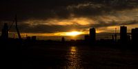 Silhouette Sunset