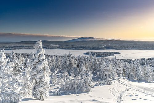Coucher de soleil en Laponie