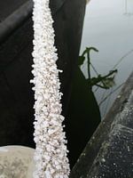 Frozen rope conected to boat