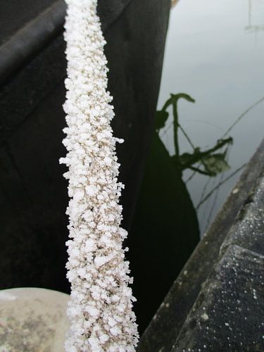 bevroren touw aan boot