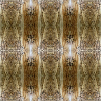 Fragments of Prehistory – The Earth’s Memory Set in Stone VII